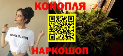 кокс Гай