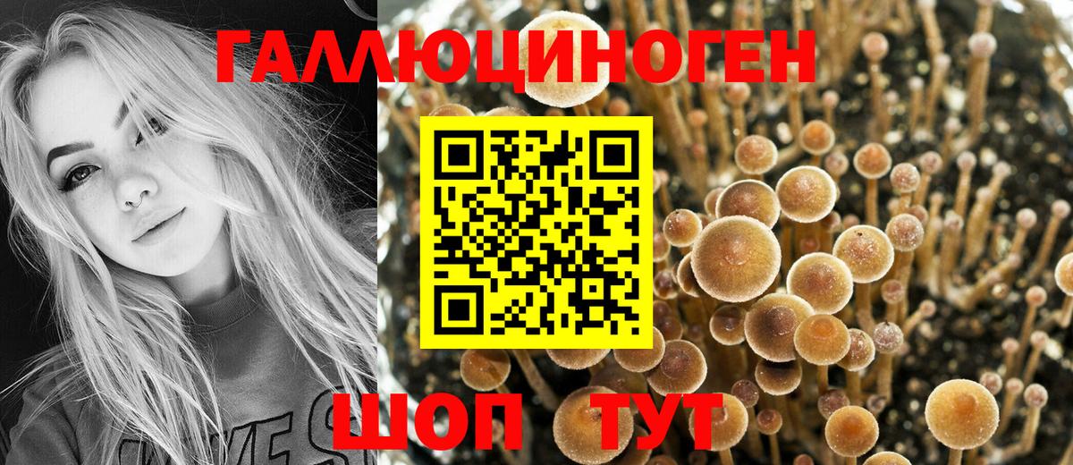 Муром  Псилоцибиновые грибы MAGIC MUSHROOMS  Вход с VPN  Галлюциногенные грибы GOLDEN TEACHER 